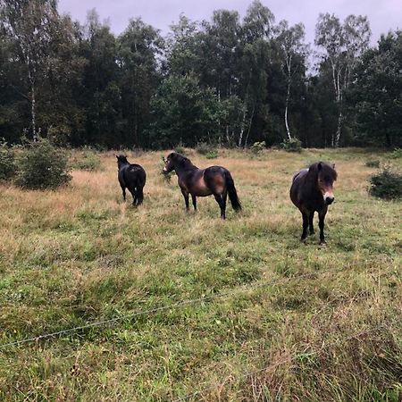 Ferienwohnung Max Rethwisch Buitenkant foto